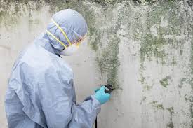 Why You Should Choose Our Mold Remediation Services in Ephrata, PA